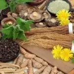 Power of Adaptogenic Herbs for Stress Relief