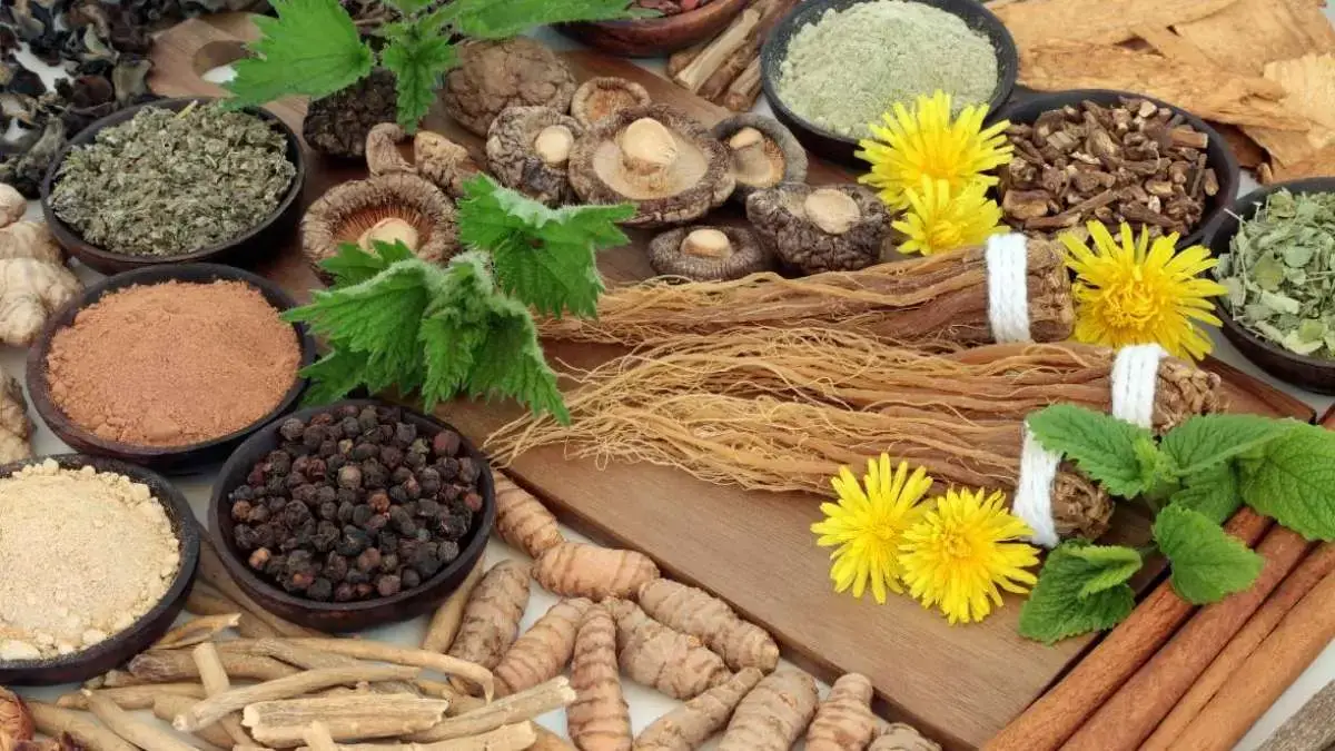 Power of Adaptogenic Herbs for Stress Relief